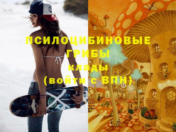 индика Тутаев